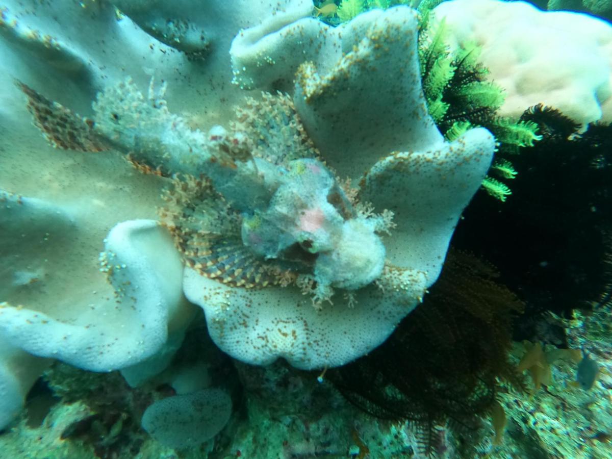 Cabilao Sunset Dive & Beach Resort Loon Exterior foto