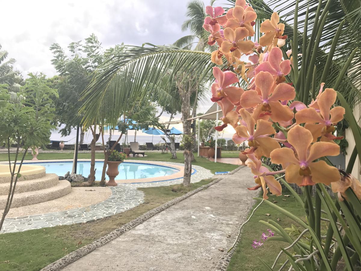 Cabilao Sunset Dive & Beach Resort Loon Exterior foto